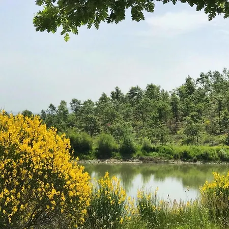 Holiday home Borgo Poggio Bianco Sarteano